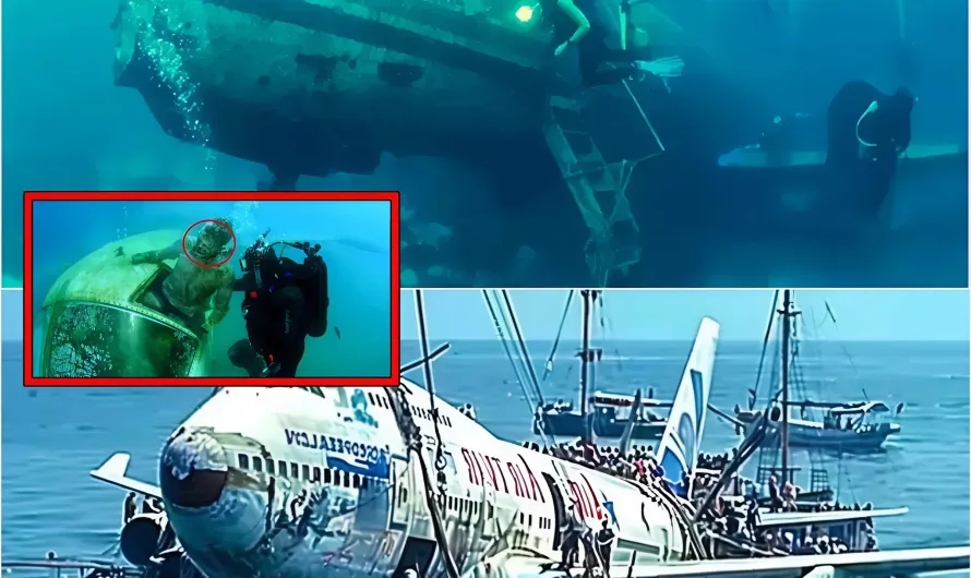 Scientists FINALLY Found the Location of Malaysia Flight 370—What They Discovered Will Leave You Speechless!