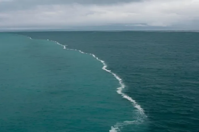 Where Two Seas Meet: The Baltic and North Sea Phenomenon