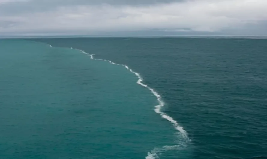 Where Two Seas Meet: The Baltic and North Sea Phenomenon