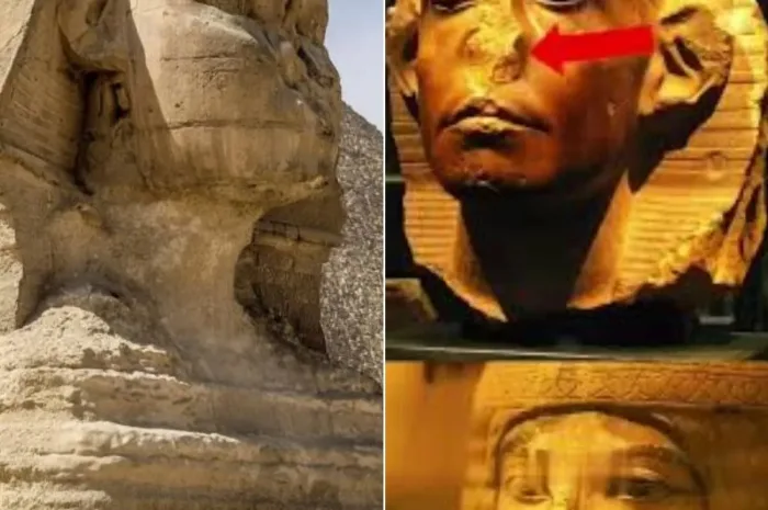 Why Are So Many Egyptian Statues Without Noses? Groundbreaking Study Reveals the Shocking Truth!