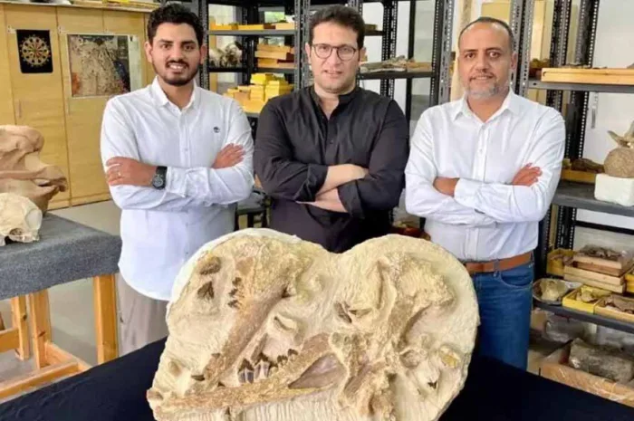 Discovery of 41-Million-Year-Old Whale, Tutcetus Rayanensis, Reveals Early Evolution in Egypt