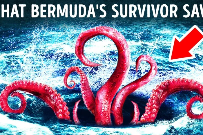 Shipwrecks and Sea Monsters: Unveiling Bermuda Triangle’s Enigma!