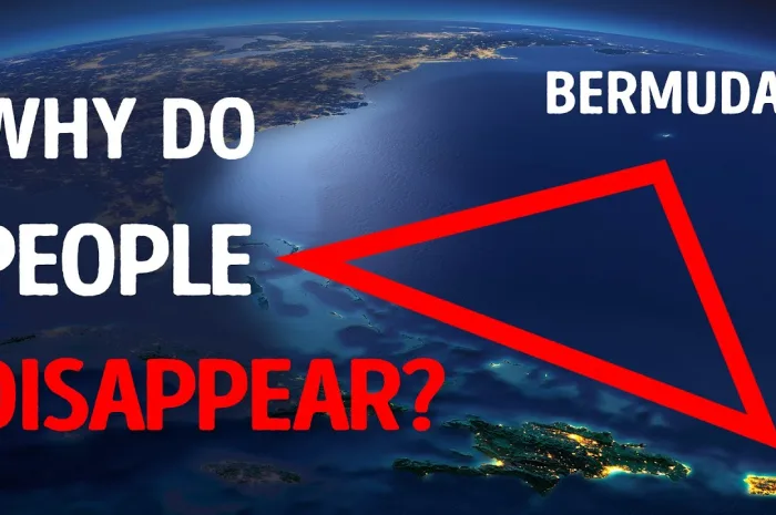 Who Lives at the Bottom of the Bermuda Triangle?