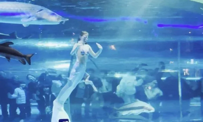 Mermaid Performer Has Her Head Swallowed by Giant Aquarium Fish During Show