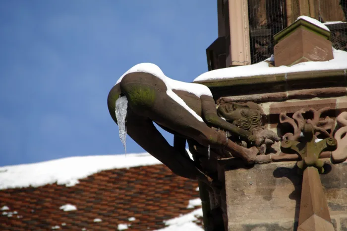 BREAKING NEWS: The Tale of Freiburg’s Mysterious Moonlit Gargoyle—A Stonemason’s Revenge Against the City Council?